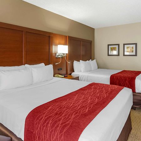 Comfort Inn & Suites Rochelle - Dekalb Esterno foto